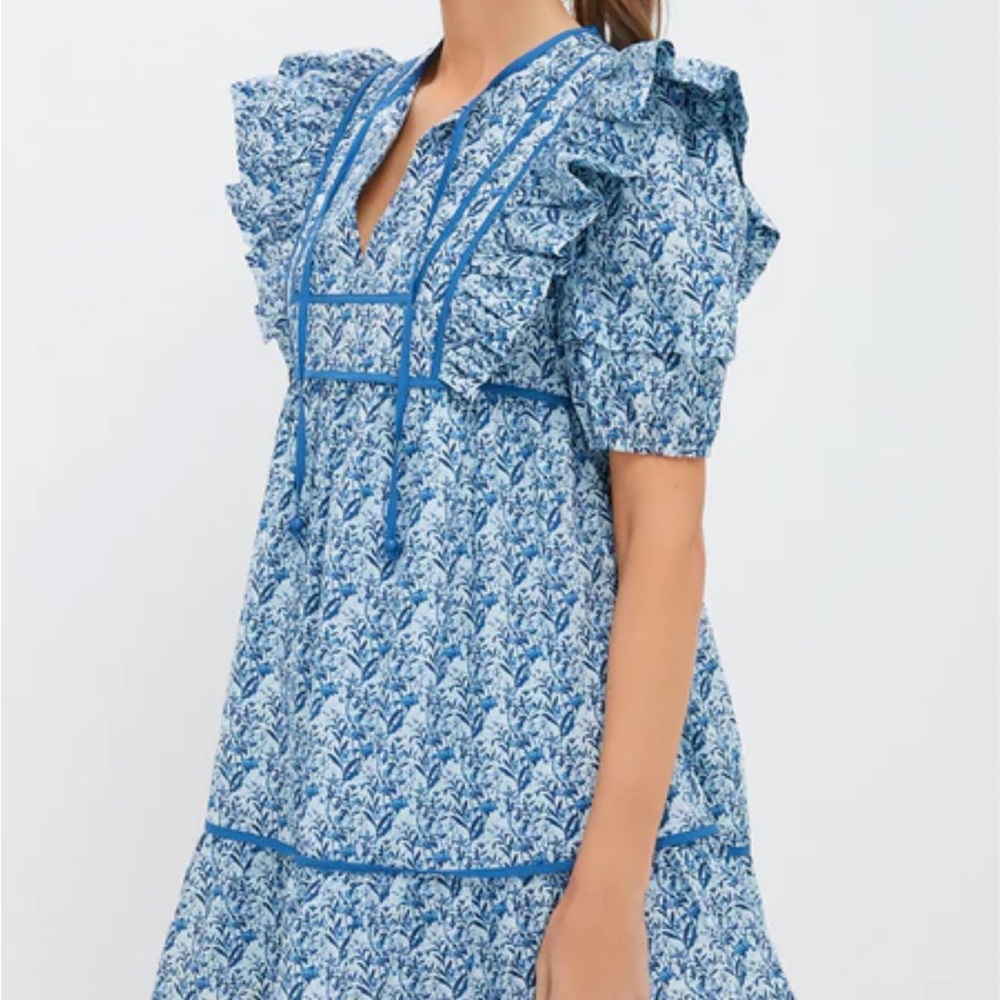 Tuckernuck Blue White Floral Mini Dress - Picture 3 of 5